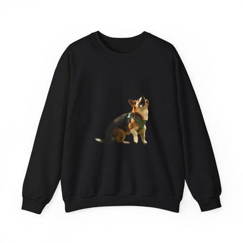 Good Boy Energy Corgi Sweatshirt – Howling Tricolor Crewneck